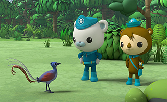 Octonauts - Above and Beyond S03E14 Mimics