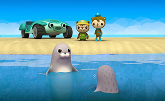 Octonauts - Above and Beyond S04E20 Hawaiian Monk Seals