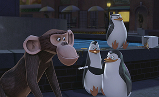 The Penguins Of Madagascar S01E29 Monkey Love