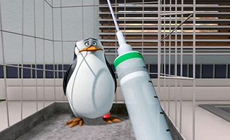 The Penguins Of Madagascar S01E19 Eclipsed