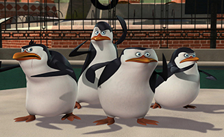 The Penguins of Madagascar S01E10 Tangled in the Web