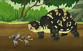 Wild Kratts S04E05 Box Turtled In