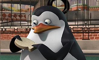 The Penguins Of Madagascar S01E24 Misfortune Cookie