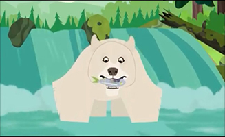 Wild Kratts S04E25 Spirit Bear