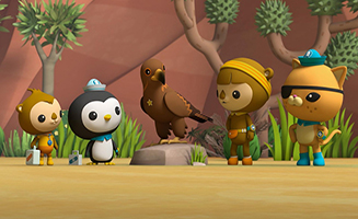 Octonauts - Above and Beyond S04E19 Desert Creatures