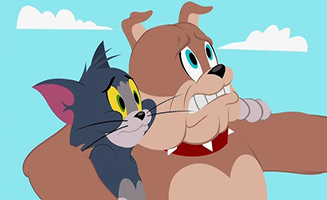 The Tom and Jerry Show S01E37 Cruisin for a Bruisin