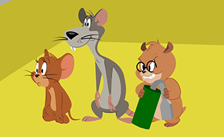 The Tom and Jerry Show S01E44 No Brain No Gain