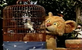 Between The Lions S03E03 What Parakeets Need