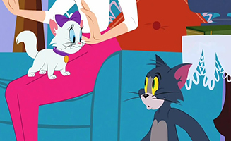 The Tom and Jerry Show S01E19 Here is Looking A Choo Kid