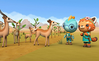 Octonauts - Above and Beyond S04E15 Gobi Desert