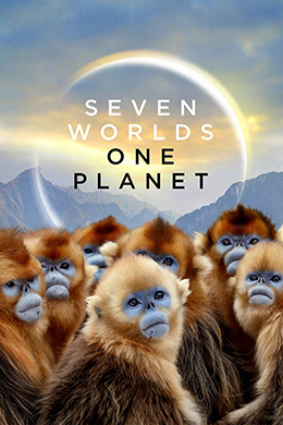 دانلود مستند Seven Worlds One Planet