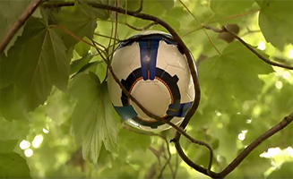 Big City Park S01E16 Billy Is Up In The Trees