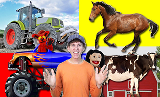 What Do You See Songon The Farm Tractor And Animals