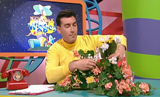 The Wiggles S03E25 Blooming Blossoms