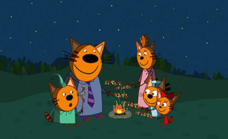 Une Nuit Dans La Foret