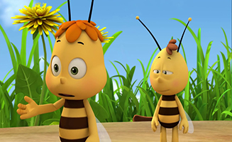 Dancing With Bees
