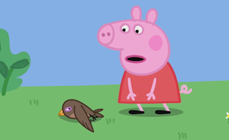 Peppa Pig S08E10 Little Swift