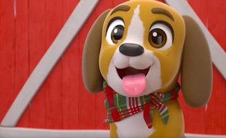 Buster Sauve Le Chiot