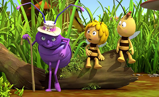 Mrs Hermit Beetles Journey