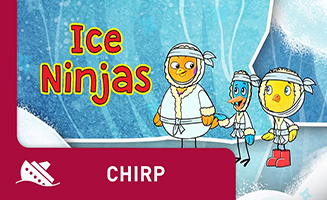Ice Ninjas