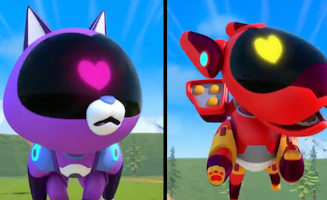 Mision S.O.S Pelicano Dalmata