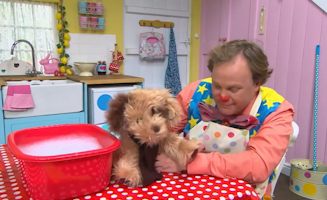 Mr Tumbles Animal Show