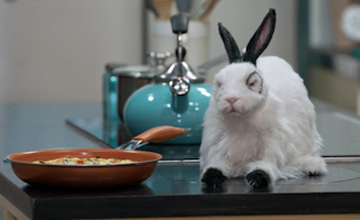 The Thundermans Undercover S01E08