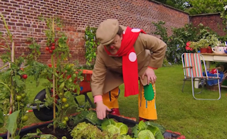 Mr Tumble Waters His Plants