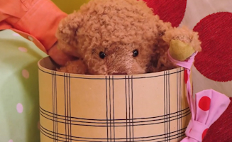 Mr Tumble Plays Hide And Seek