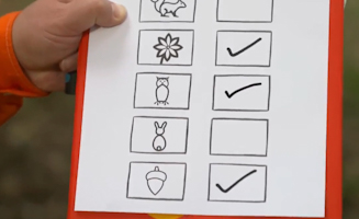 Mr Tumbles Nature Hunt