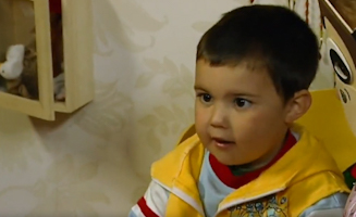 Different Kind Of Animals