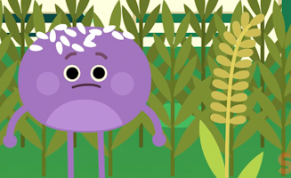 The Giant Sly Sticky Rice Ball