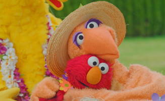 Sesame Street S53E13 Nani Bird Visits