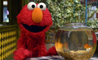 Sesame Street S54E21 Elmo and Abbys Ocean Adventure