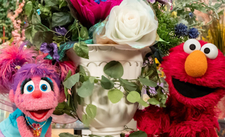 Sesame Street S55E11 Abbys Garden Party