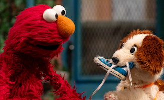 Sesame Street S55E12 The Wet Dog Wiggles