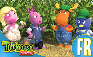 Les Melodilous Dans Les Fonds De Locean