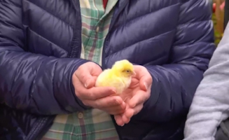 Spring With Mr Tumble