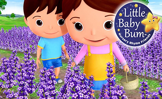 Lavanda Azul Dilly Dilly