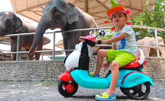 Vlad And Nikita Riding Bikes Ride To The Zoo