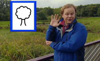 Learn To Sign My Planet