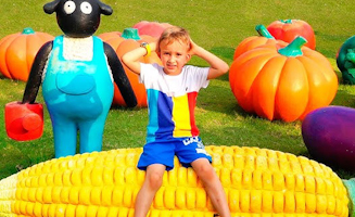 Vlad And Mama Sleeping At Farm Sheep