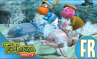 Les Melodilous La Grande Course Des Dauphins