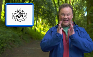 Learn To Sign Autumn