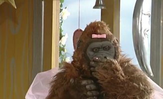 Mopatop Shop S01E28 The Hairy Fairy