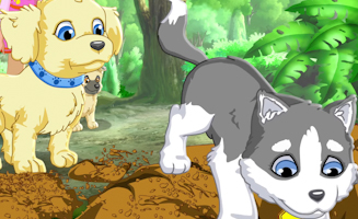 Puppy In My Pocket - Adventures In Pocketville S01E31 White Paw Part 1