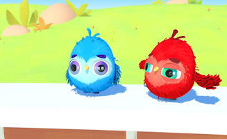 Twinkle Et Les Zoziaux