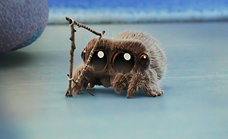 Lucas the Spider S01E03 Lonesome Lucas - I Cant See You - To Catch A Fly