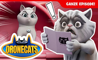 Dronecats S01E07 Lady Tulips Day Off