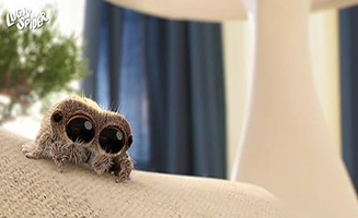 Lucas the Spider S01E12 House Flies Dont Dance - Flying the Nest - The Insult